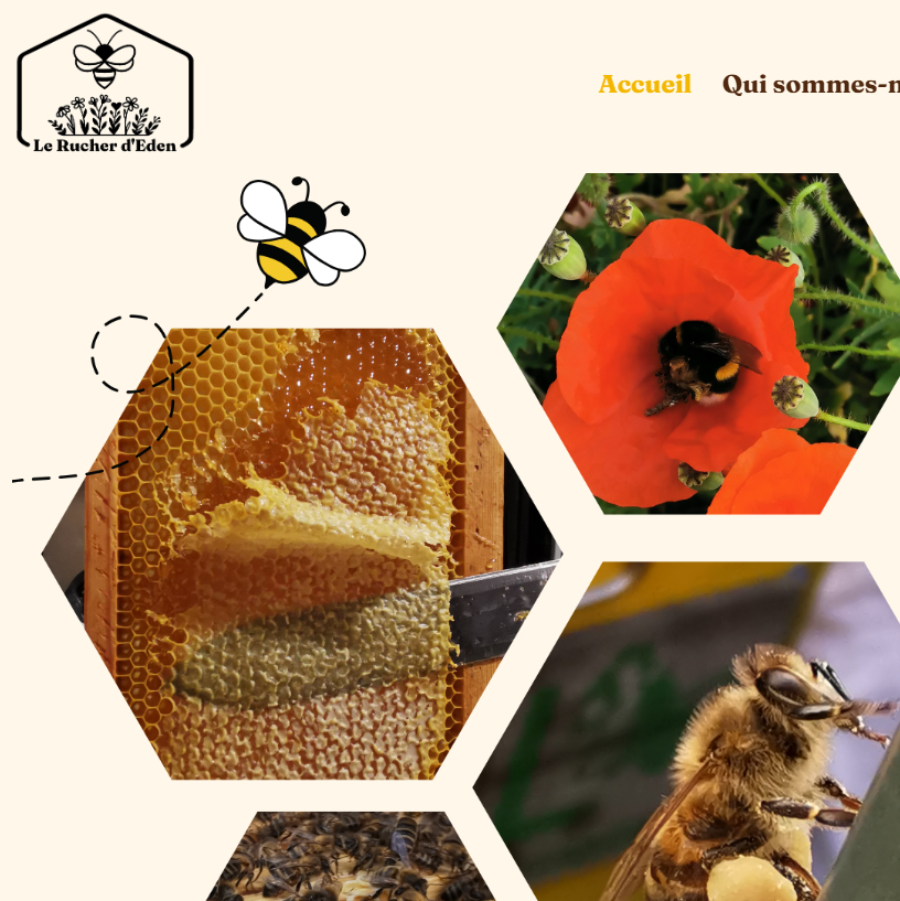 Site apicole créé par Hekat développement web